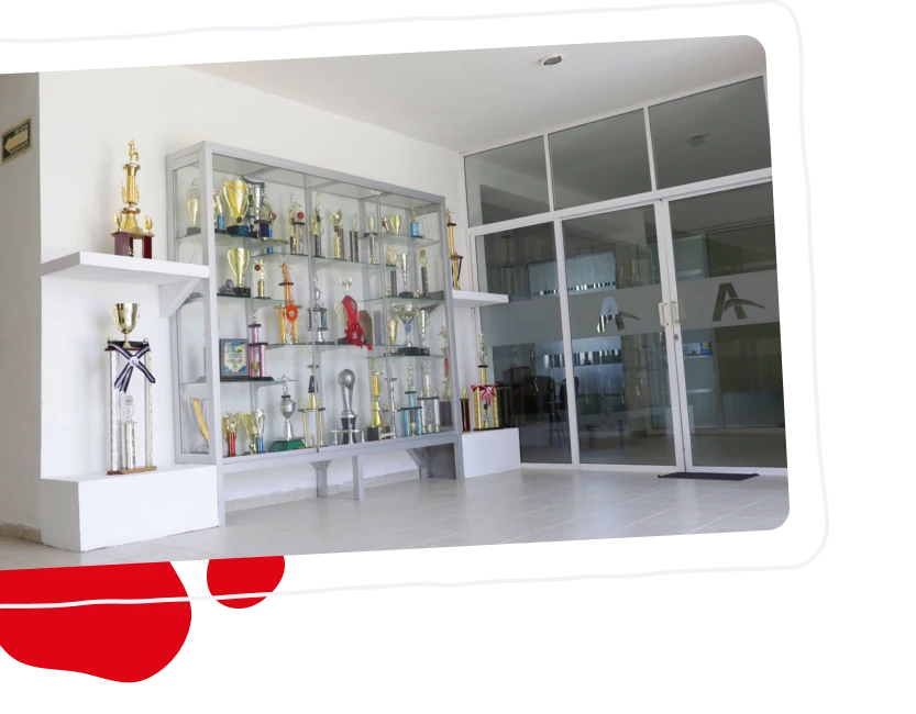 Actividades artísticas y culturales