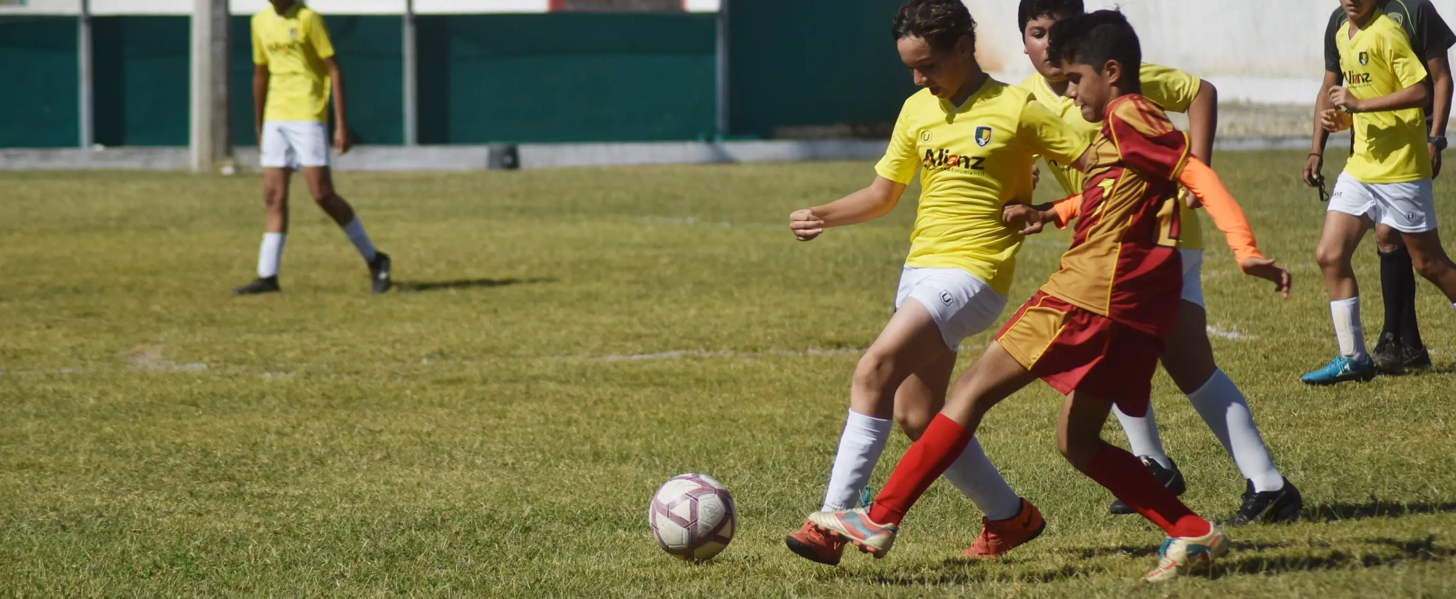 Actividades Extraescolares: Cuál es la Mejor Elección