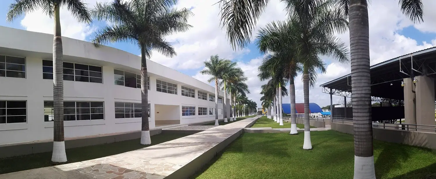 Elegir colegio en Mérida: guía para hacer de la búsqueda una experiencia enriquecedora